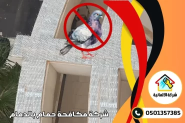 شركة مكافحة الحمام بالدمام شركة مكافحة الحمام بالدمام