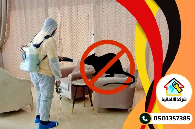 شركة مكافحة الفئران بالدمام