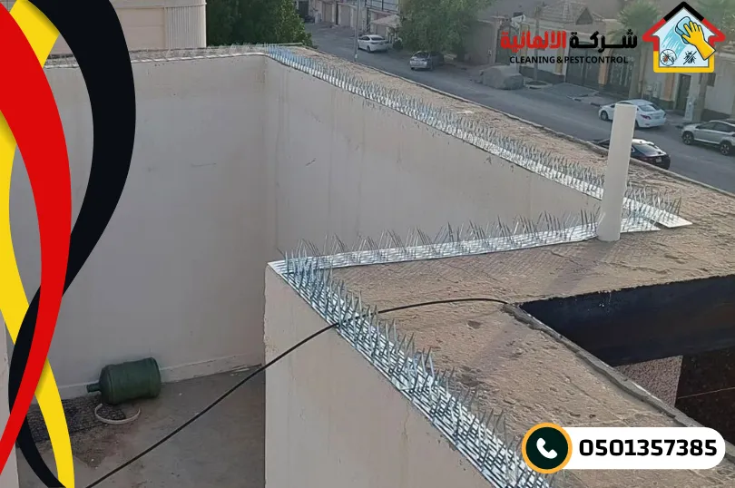 خدمات شركة الألمانية الشاملة لمكافحة الحمام بالدمام