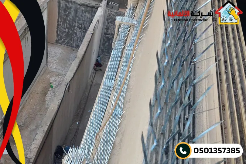 لماذا تُعدّ مكافحة الحمام ضرورة صحية لا ترفاً؟