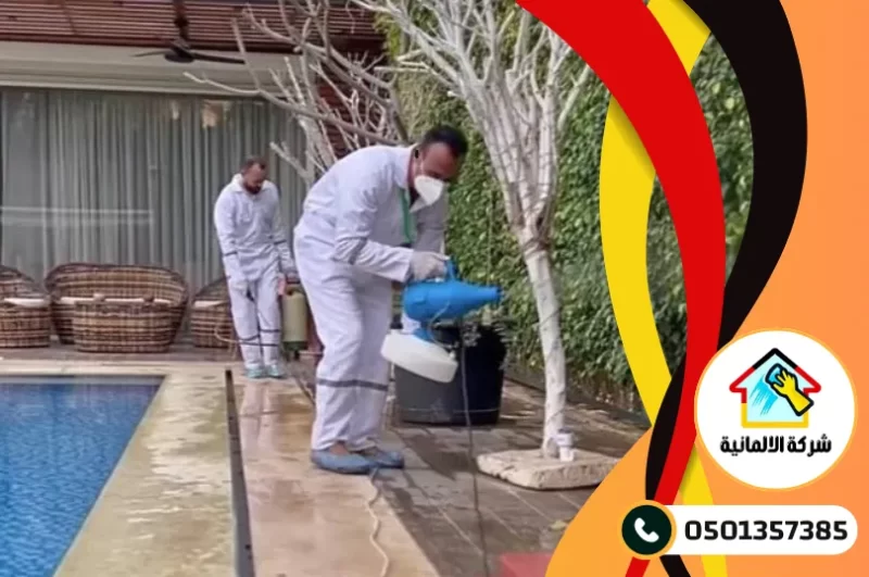 شركة مكافحة حشرات بالدمام