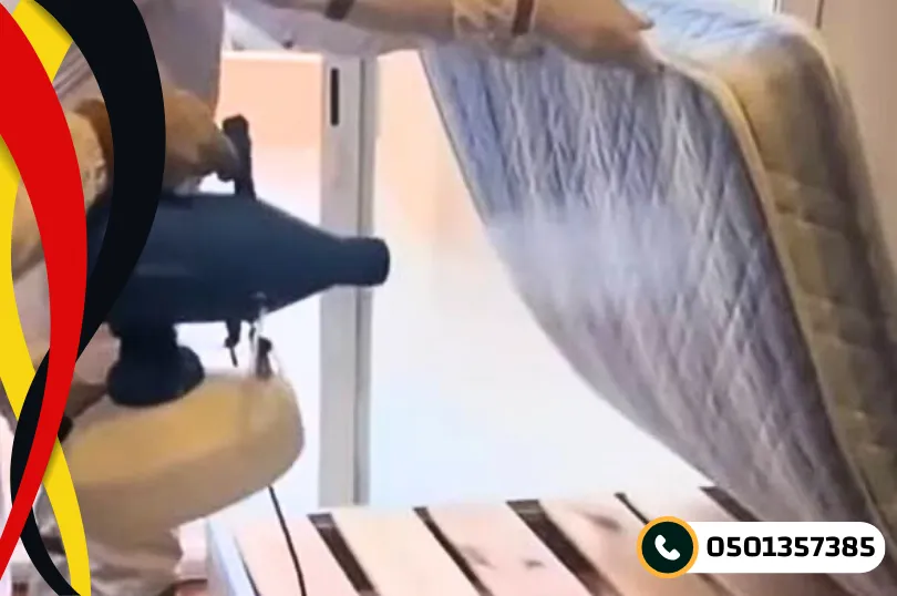 شركه مكافحه البق بالدمام ما الذي يجب عليهم تقديمه لك