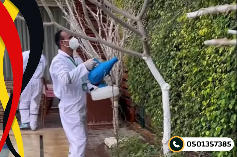 مميزات افضل شركة مكافحة حشرات بالدمام موثوقة بضمان 10 سنوات