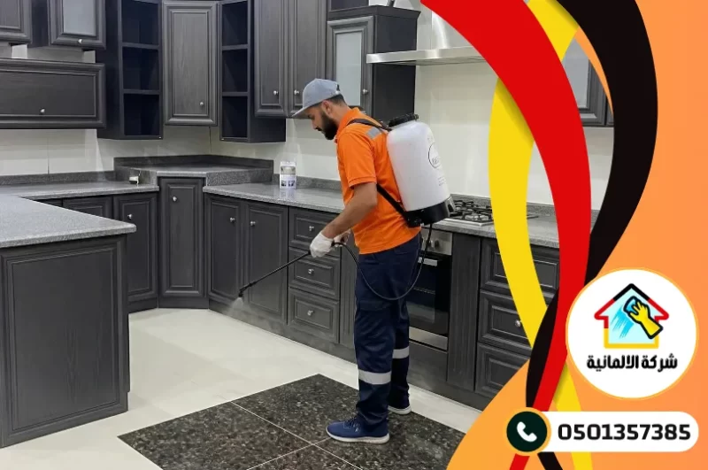 شركة مكافحة حشرات بسيهات