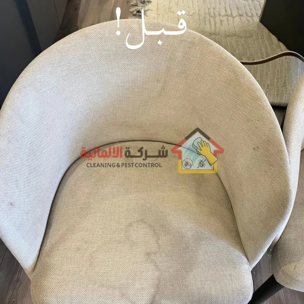 قبل تنظيف كنبات
